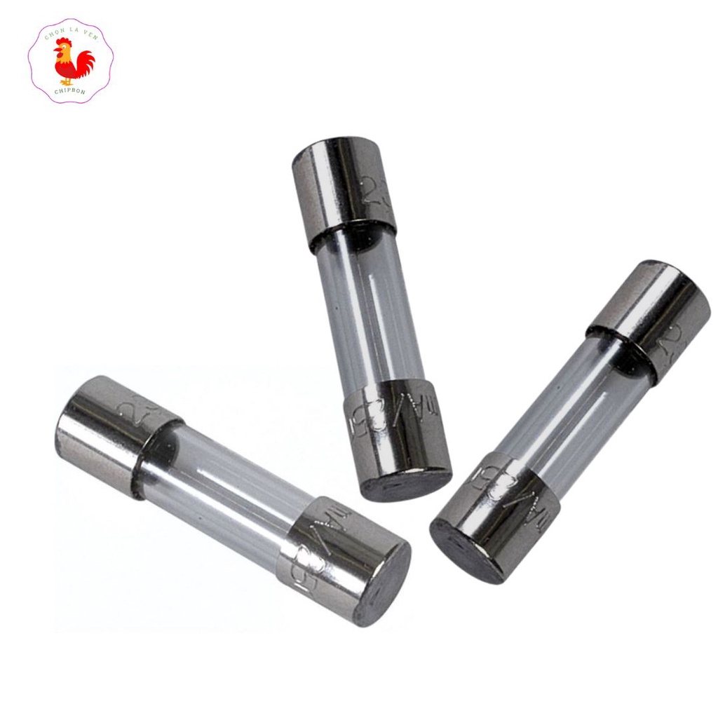 Cầu Chì Ống Thủy Tinh 6x30mm 250V 3A, 10A