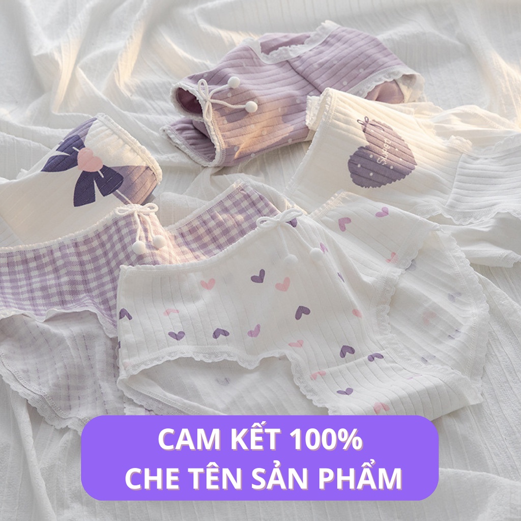 SET 5 Quần Lót Cotton Kháng Khuẩn Thông Hơi Thoáng Khí Thấm Hút Mồ Hôi SweetDay TOPBRA