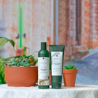 Bộ Dầu Gội Gừng Weilaiya Ginger