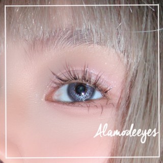 Lens xám tia bạc