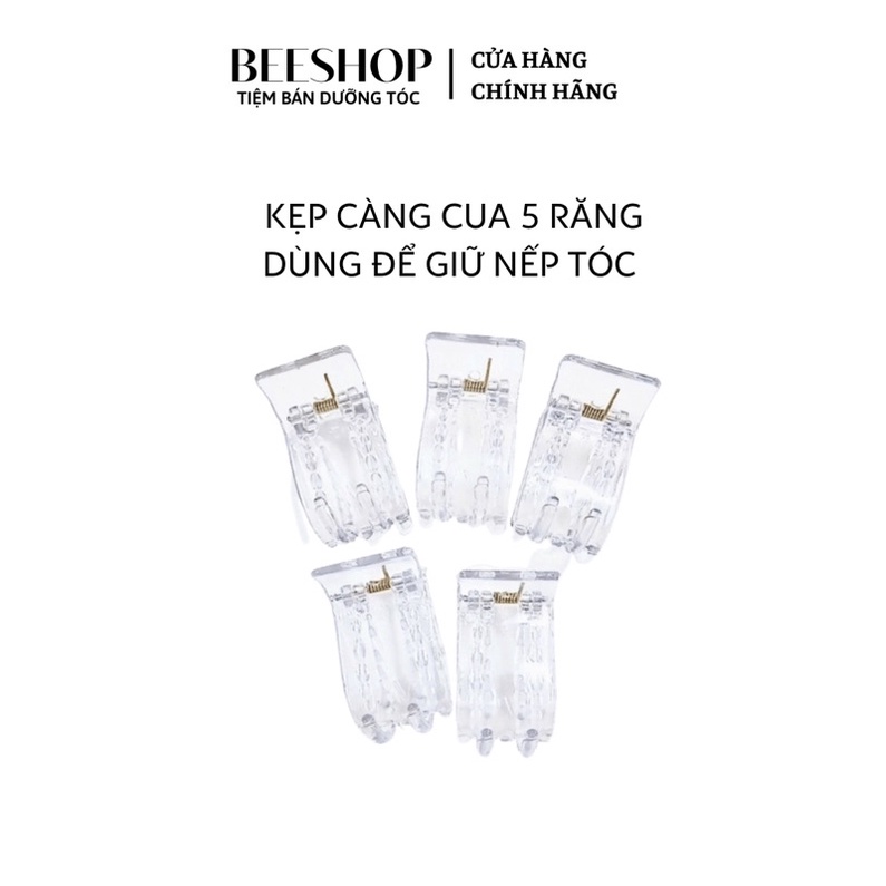 Kẹp càng cua 5 Răng Trong suốt Dùng để giữ nếp tóc