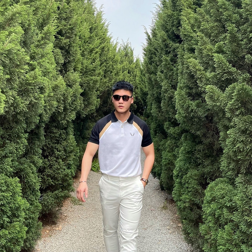 Áo thun polo raglan, áo thun có cổ nam chất vải cá sấu bền đẹp PL06