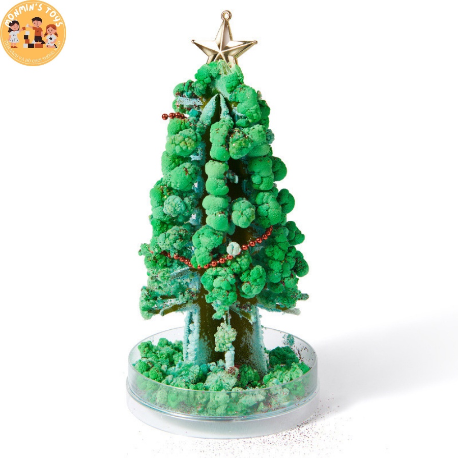 Cây Thông Ma Thuật - Mideer - Cây Thông Tự Nở Hoa