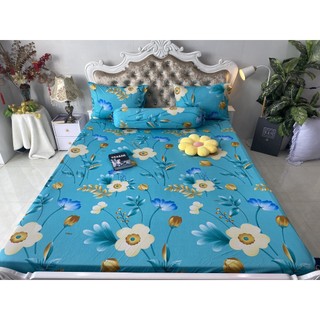 Bộ ga gối thun hàn quốc