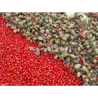 Combo Siêu Rẻ: 100g Hạt Dổi + 100g Mắc Khén (Chính Gốc Tây Bắc)