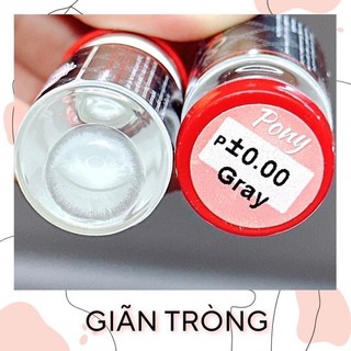 Kính áp tròng 𝐋𝐄𝐍 𝐦𝐚̆́𝐭 𝐗𝐚́𝐦 𝐭𝐚̂𝐲( Pony) (Tặng kèm khay có Dụng cụ đeo )
