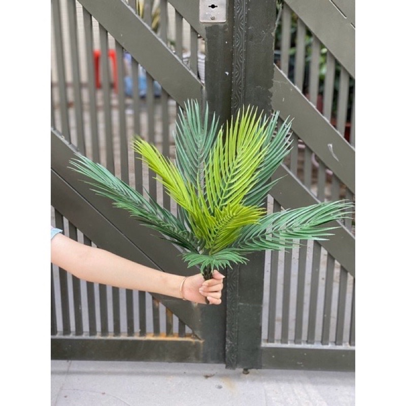 Bụi lá dừa kiểng giả 50cm trang trí siêu đẹp