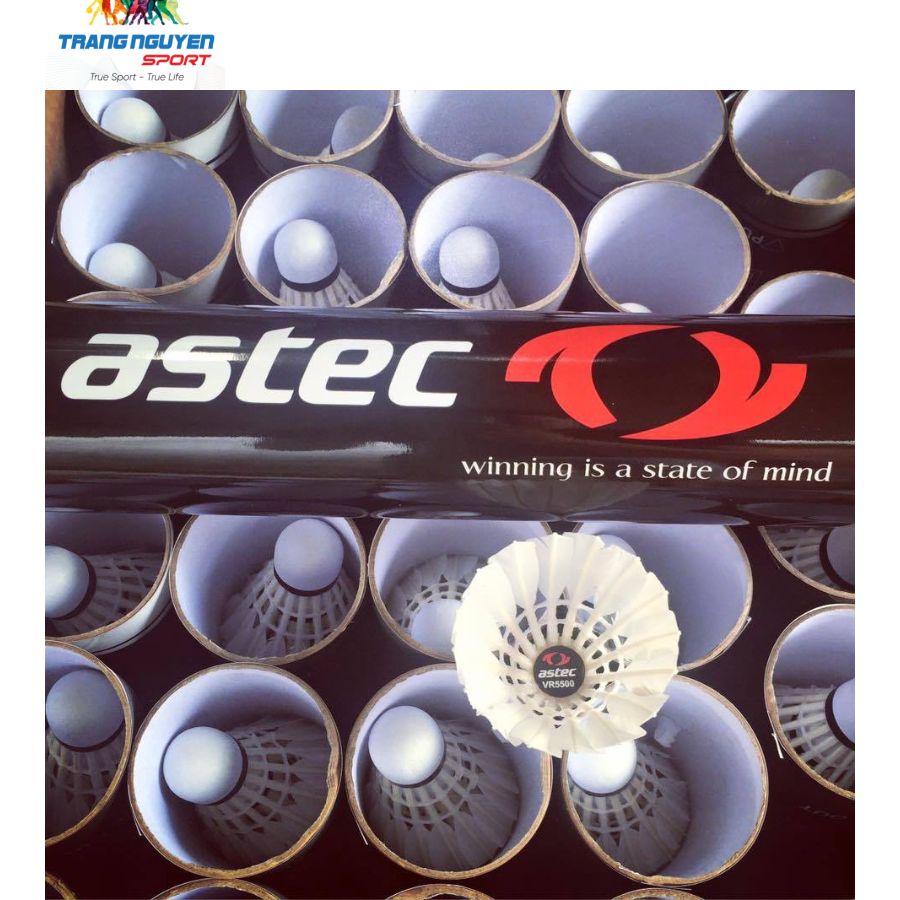 Quả Cầu Lông, Cầu Lông Astec VR5500 - Hàng Loại 1