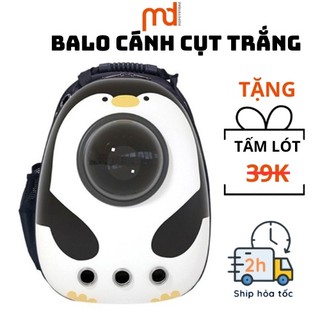 Balo phi hành gia trong suốt vận chuyển chó mèo, Túi đựng mèo du lịch, Balo vận chuyển chó mèo trong suốt hàng nhập