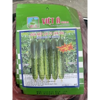 Hạt giống dưa chuột nếp lai quả dài (10gram)