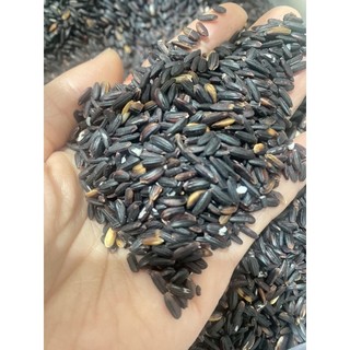 Nếp cẩm - nếp than đặc biệt