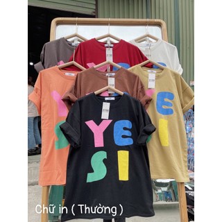 Áo thun chính khô 3158 ( freesize 40-70kg)