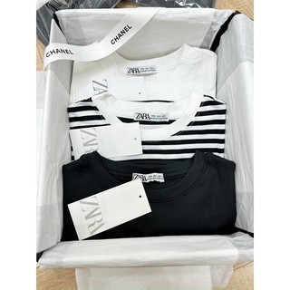 Set 3 áo tay hến ZR basic