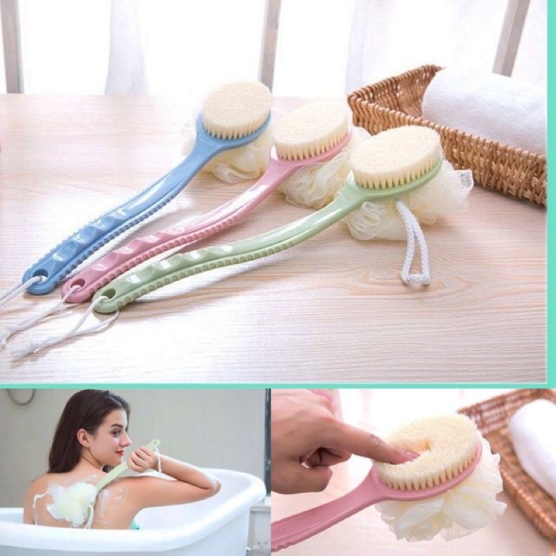 Cây cọ lưng hai đầu