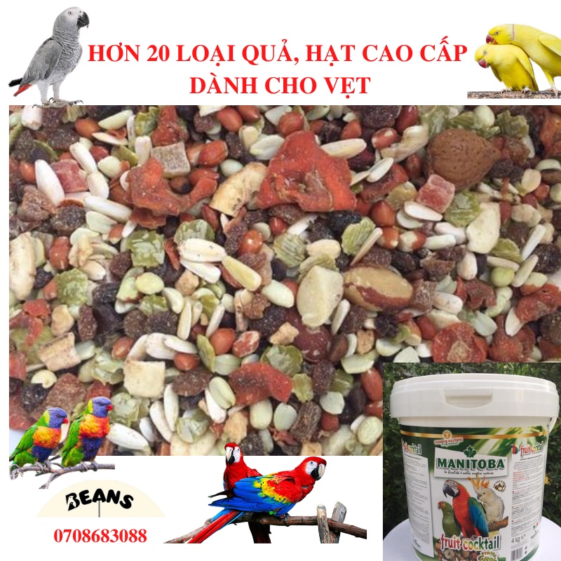 Fruit cocktail trái cây sấy khô cao cấp cho dành cho vẹt như xám , amazons , cockatoo, macaw ,... hàng ý