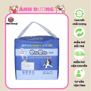 Miếng lót vệ sinh cho chó purmi pad size lớn