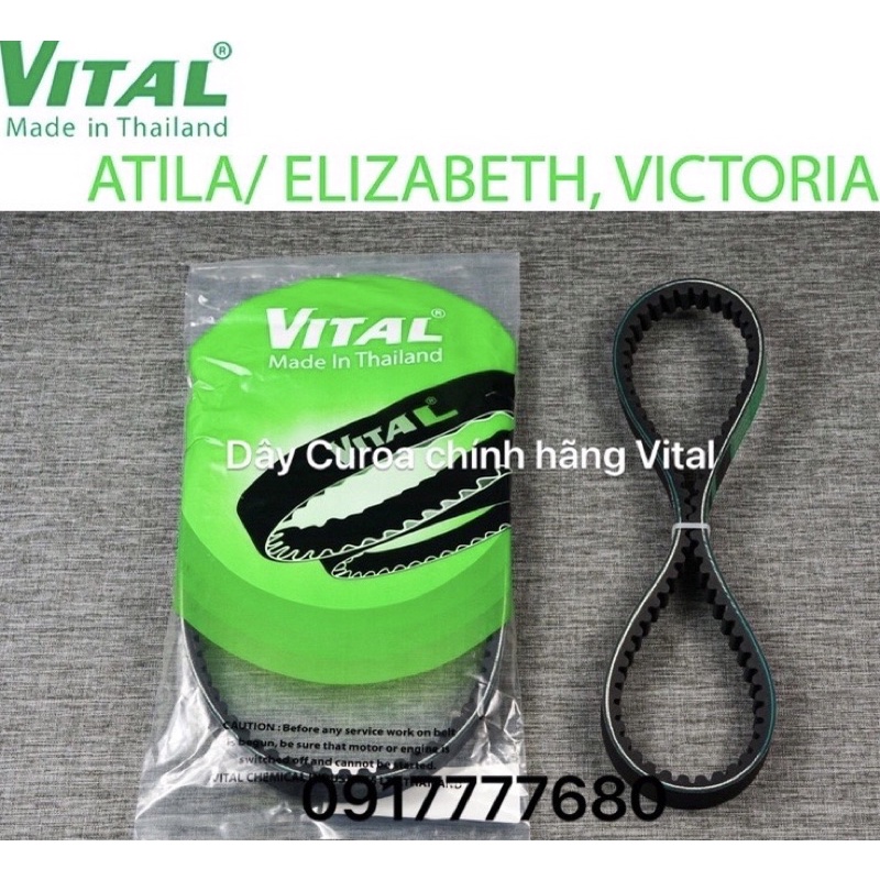 Dây Curoa Cao Cấp ATILA , ATILA VICTORIA, ELIZABETH  hiệu VITAL- Dây curoa VITAL chính hãng, hàng Thái lan chất lượng