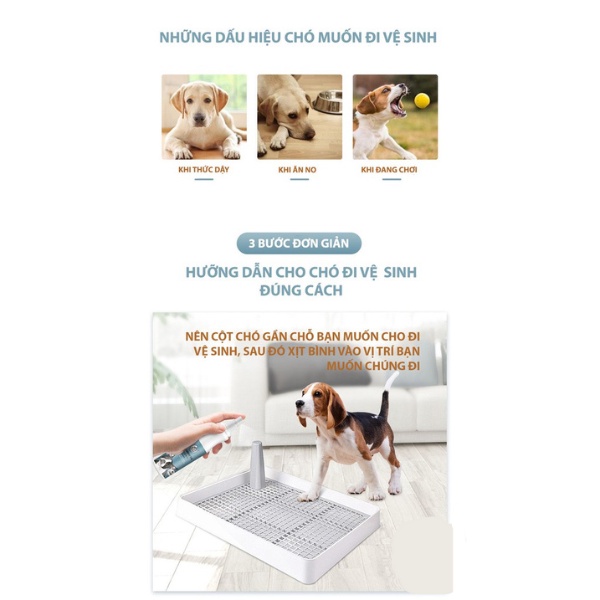 Xịt định vị vệ sinh chó mèo, tập thói quen đi vệ sinh đúng chỗ cho thú cưng