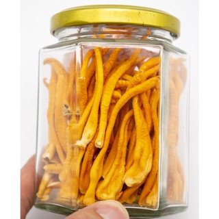 Đông trùng hạ thảo khô sấy thăng hoa bồi bổ cơ thể lọ 10gr