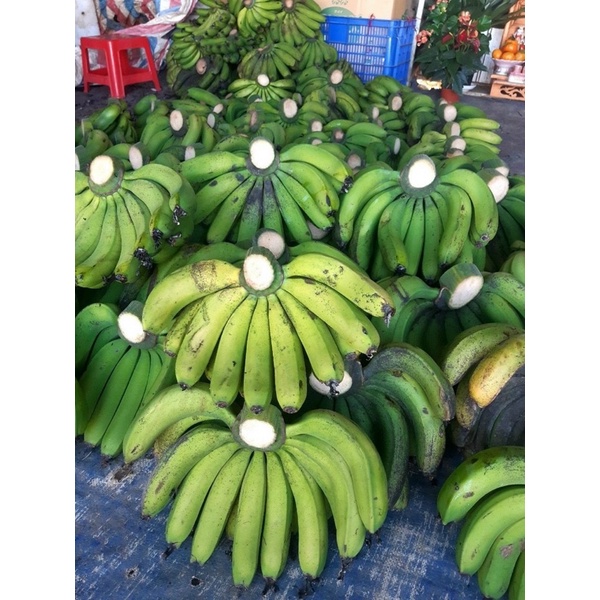 Trái cây tươi ĐÀ LẠT - Chuối Laba Đà Lạt - Bơ 034