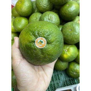(HOẢ TỐC HÀ NỘI) CAM SÀNH VĨNH LONG