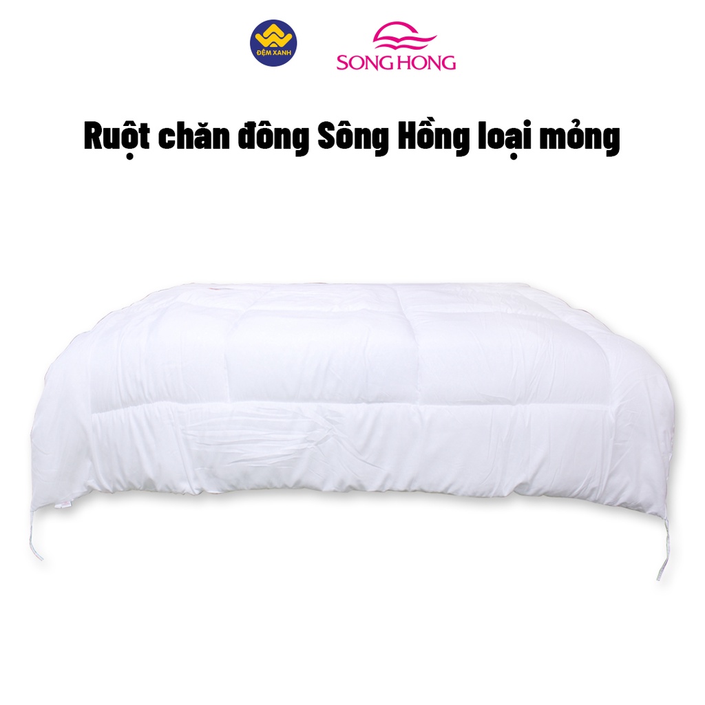 Ruột Chăn Đông Sông Hồng phân phối chính hãng tại Đệm Xanh