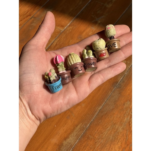 Bộ mô hình xương rồng nhựa mini gồm 7 chậu cho nhà búp bê