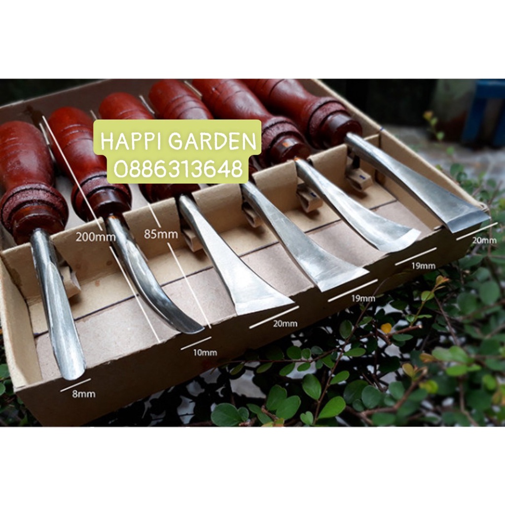 Bộ đục bonsai 6 cây