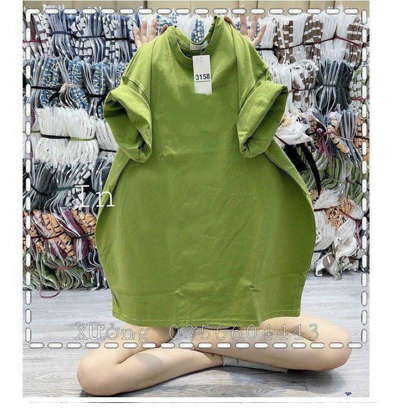 Áo Thun 3158 Trơn Phông Rộng Tay Ngắn Chất Cotton Khô Freesize 65kg 13 Màu