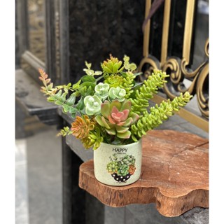 Chậu sen đá giả trang trí kệ tivi, kệ trưng bày phòng khách, bàn ăn, bàn phấn PKND FLOWERS & DECOR