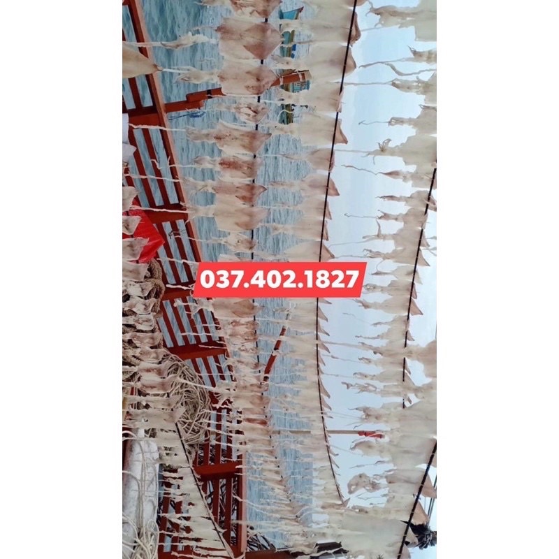 10-12 con khô mực câu tay Lý Sơn tươi ngọt hàng đặc biệt chưa lên phấn trắng 250gram