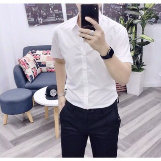 [HOT DEAL] Áo Sơ mi Nam ngắn tay trắng trơn lịch lãm