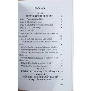 Sách - Luật Sở Hữu Trí Tuệ (Sửa đổi, bổ sung năm 2009, 2019, 2022)