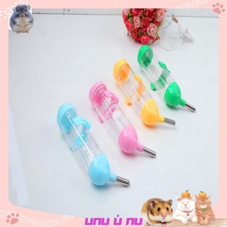 Bình nước bi cho hamster, thỏ, sóc, nhím, bọ 125ml