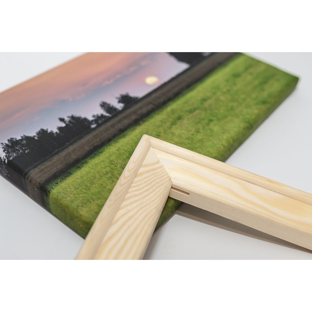 Tranh canvas treo tường chủ đề tranh Vangogh đặc sắc dùng đecor nhà cửa