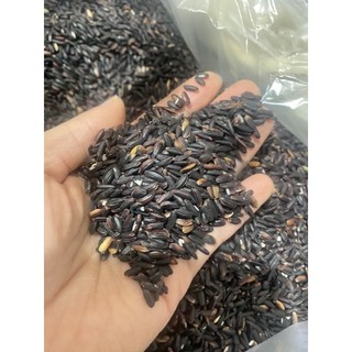 Nếp cẩm - nếp than đặc biệt