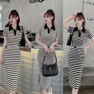 váy body kẻ cổ đức