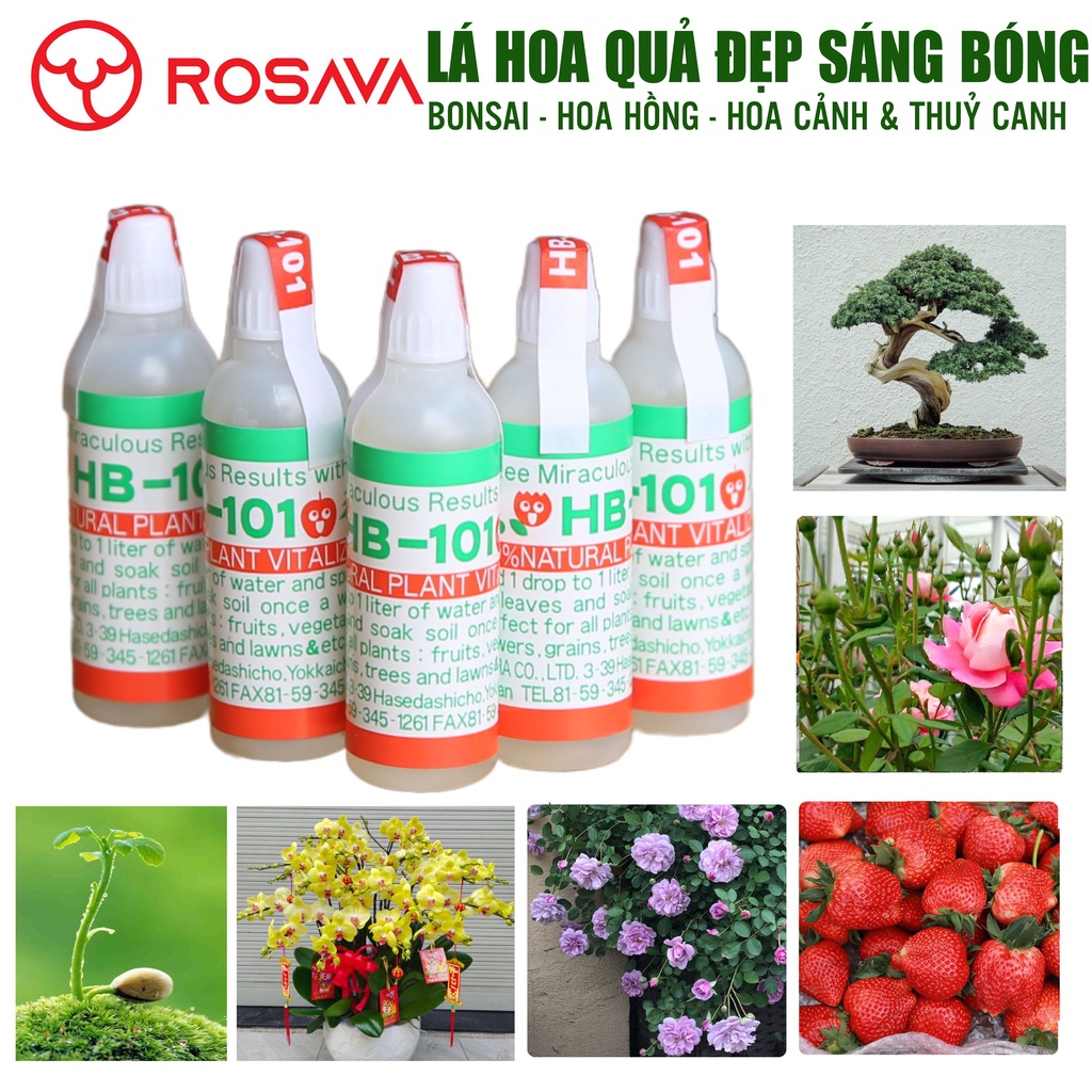 HB 101 Nhật Bản chĩnh hãng, phân bón siêu kích ra rễ hữu cơ và kích thích tăng trưởng lọ 6ml chuẩn