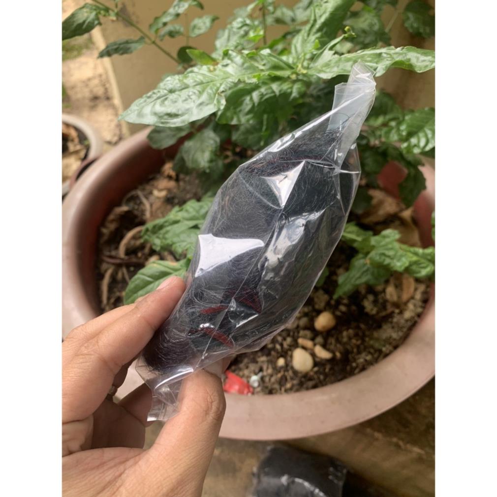 Lưới Bẫy Chim Chào Mào, Họa Mi, Sẻ Cao 5m , Độ Dài Từ 10m-50m, Lưới Chim Thái Lan