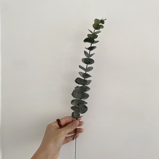 Cành bạch đàn giả 32cm và 40cm