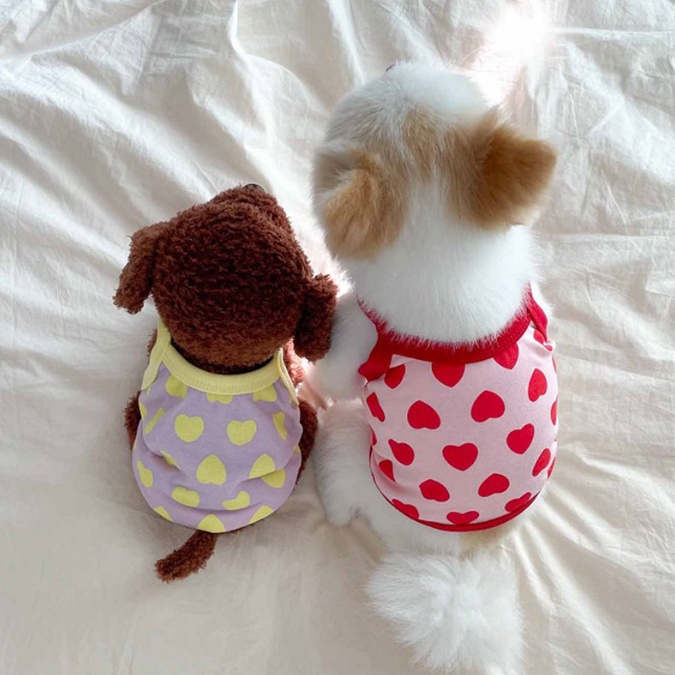 ÁO 2 DÂY TRÁI TIM SIÊU CUTE MÁT MẺ MÙA HÈ CHO THÚ CƯNG