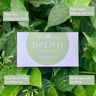 Trà thảo mộc trà túi lọc bodhi