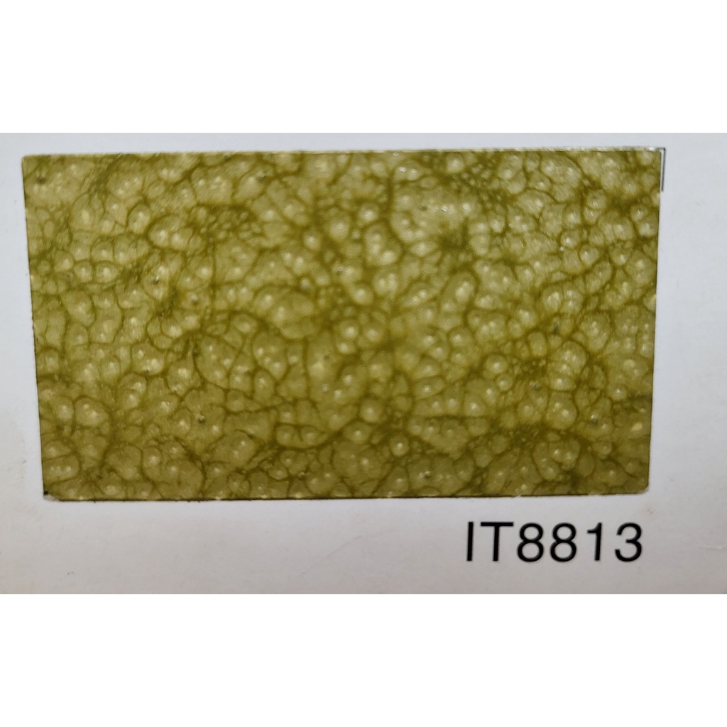 Sơn Vân Bông INTER