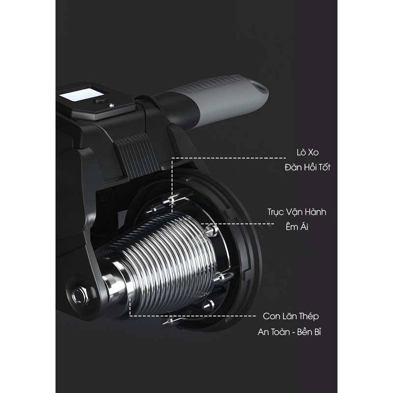 Con lăn tập cơ bụng 2024