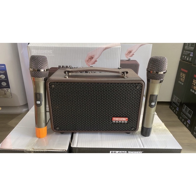 Loa karaoke chính hãng Temeisheng RB600 cao cấp giá tốt