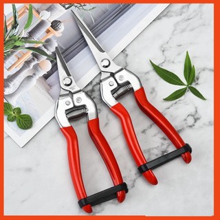 Kéo tỉa cành cây cảnh,Kéo cắt cành cây bonsai, tỉa dăm lá chồi hàng cao cấp