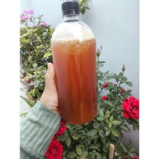 MẬT ONG HOA CÀ PHÊ