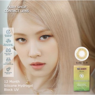 Kính Áp Tròng Cao Cấp Scandi Olive 14.0MM - FAIRY SHOP CONTACT LENS độ 0 đến 8 Silicone Hydrogel Lens Cho Mắt Thở Olens