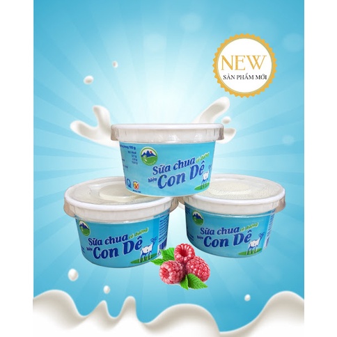 SỮA CHUA BÒ HỘP 100G