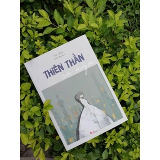 Sách - Thiên thần sa ngã (Tào Đình)